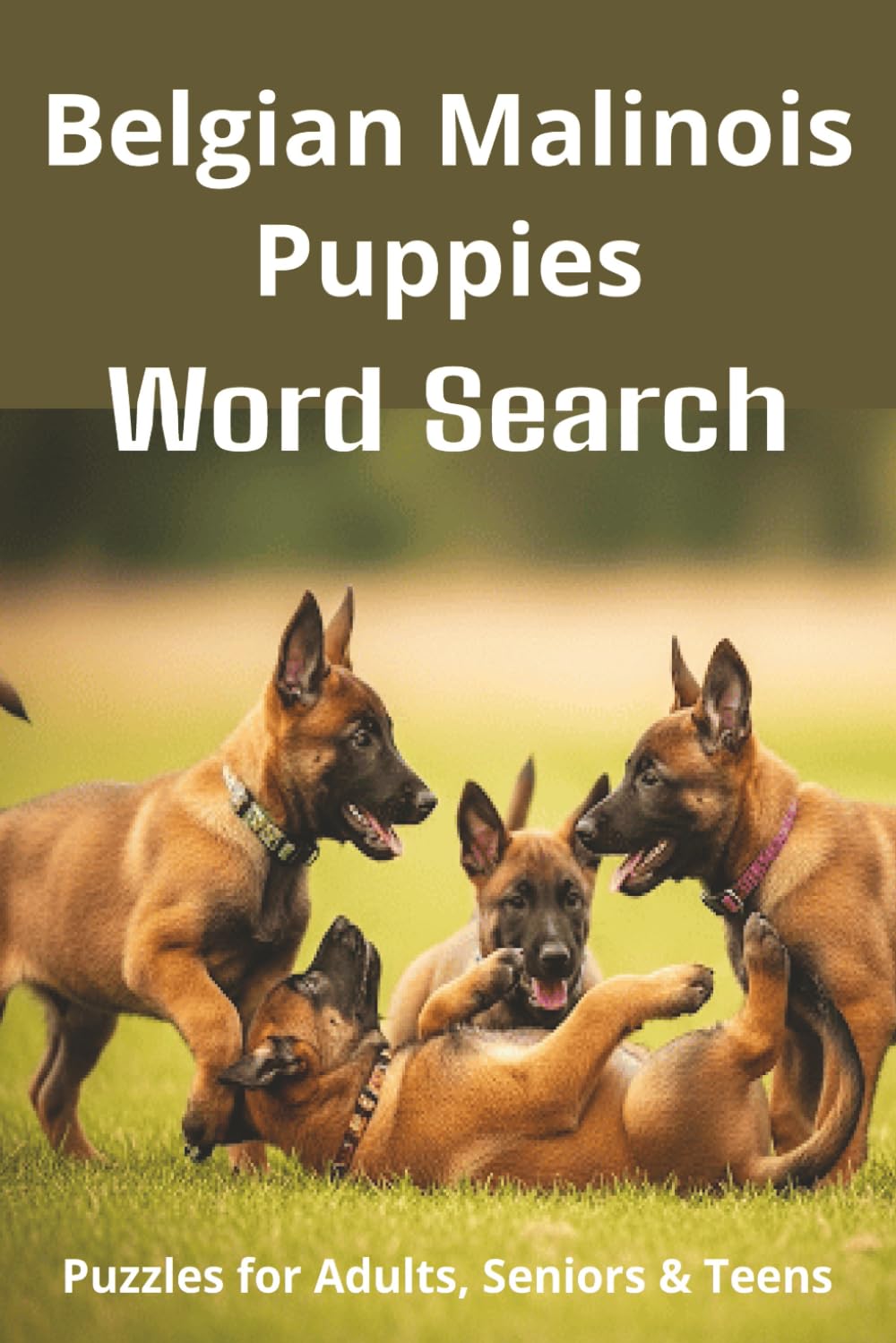 Words About Belgian Malinois Puppies Word Search Puzzles: Easy-to-Read Word Searches About Belgian Malinois Puppies – Loyal Companions, Training, Fun ... Pet Lovers, Vacations, and Relaxing Moments