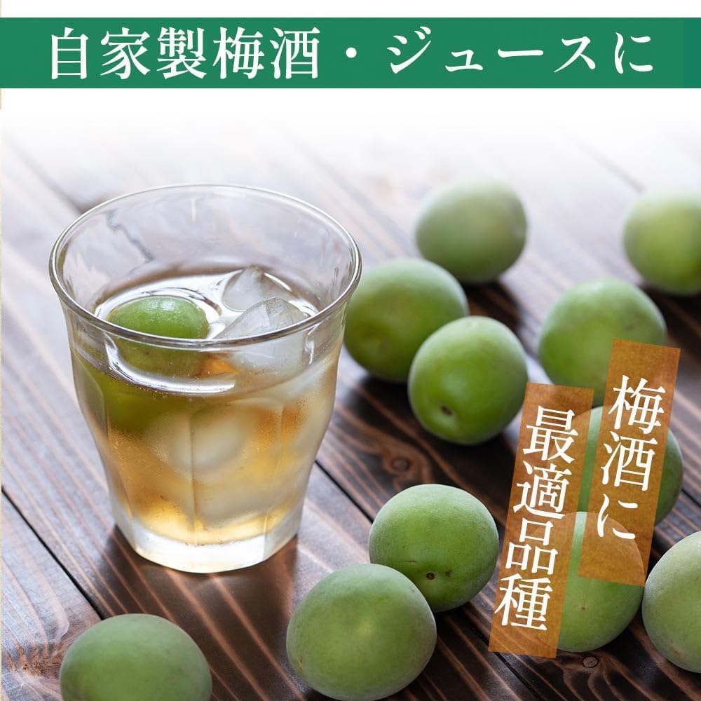 和歌山☆青梅3kg・古城梅・梅酒・梅シロップ☆無農薬・有機混合肥料