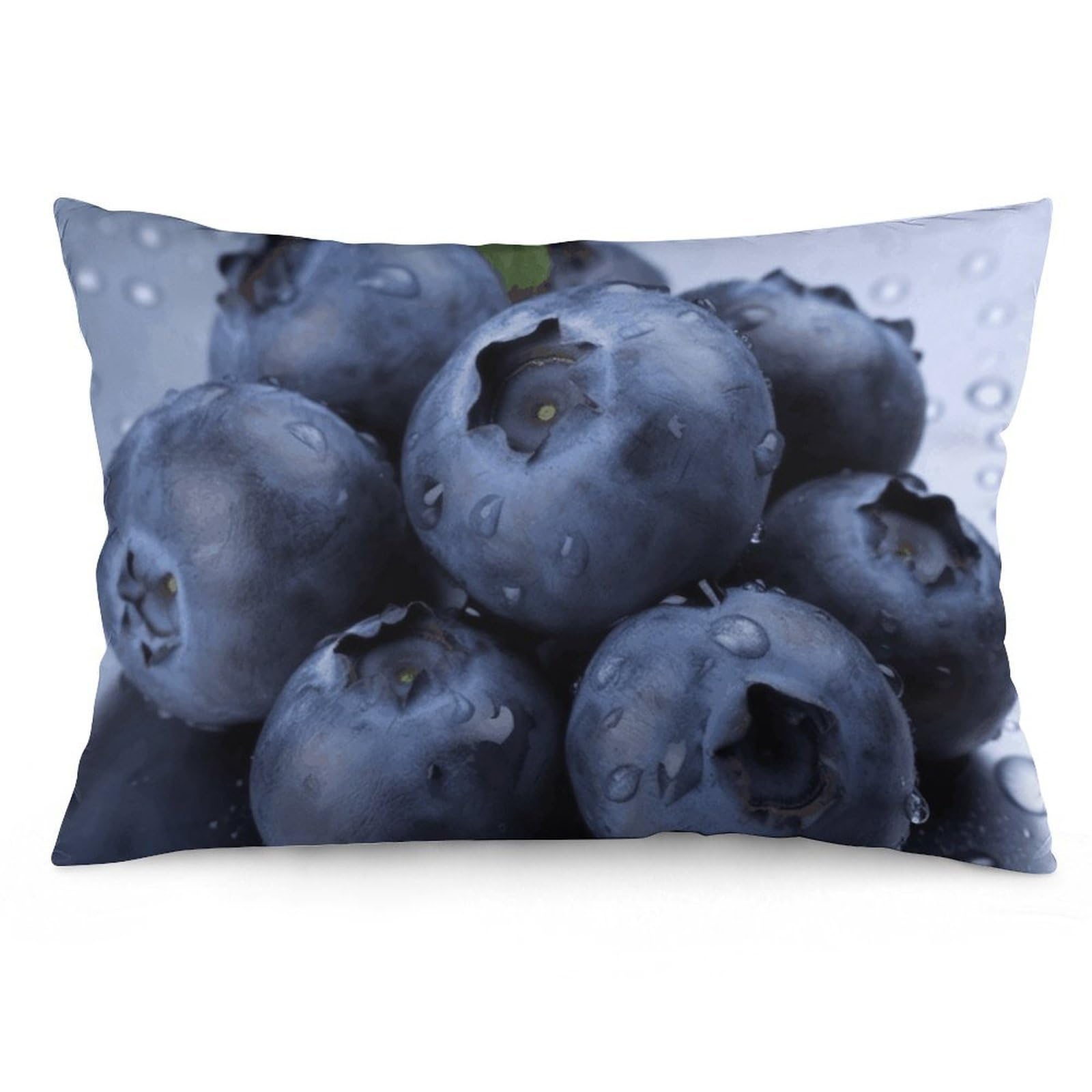 NTVOWPZO 2 Pack Decoration Throw Pillow Covers 16 "x24 Pillowcases Covers Blueberry Pillowcases Modern Farmhouse Home Decor Sofa Cushions Covers for Couch Bed Living Room