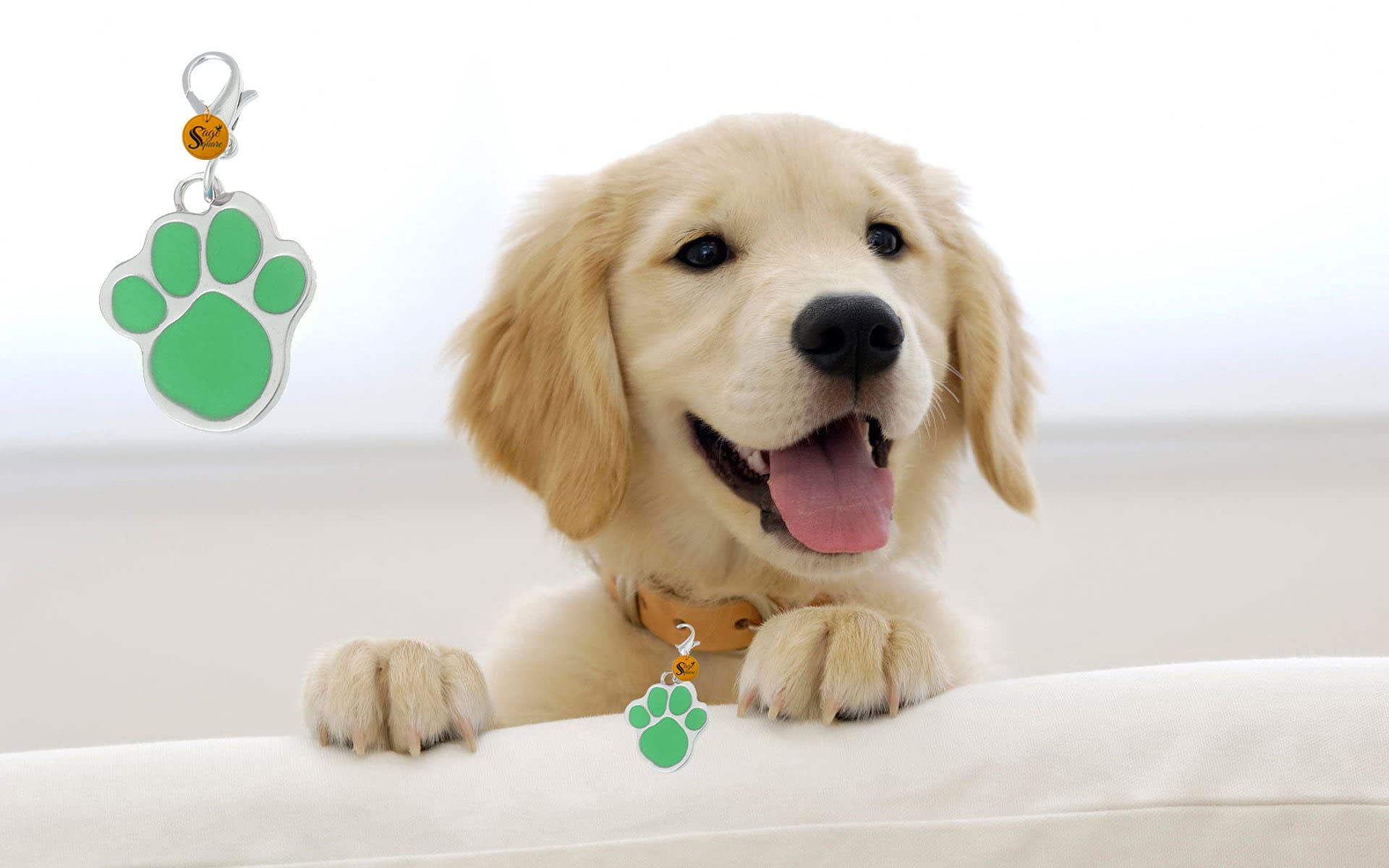 Sage Square Paw Footprint Shape Collar Tag Cum Pendant for Dog/Puppy/Kitten/Cat (Geen) (B079SWLC7C) Amazon Price History, Amazon Price Tracker