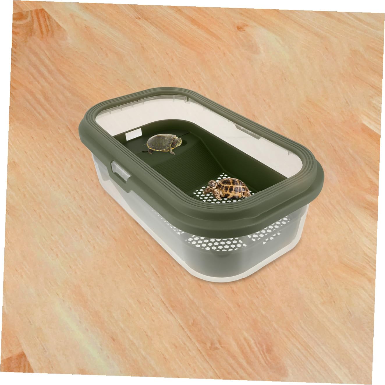 Terrarium pour Tortues avec Terrasse et Rampe, Grand Aquarium Vert | Plastique, Design Créatif, Dispositif de Changement D’eau, Nettoyage Facile, Usage Pratique pour Grenouille et Tortue