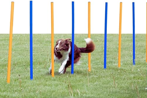 TRIXIE Dog Agility Slalom Course - Juego de 12 postes de tejido ajustables para patio trasero - Equipo de entrenamiento portátil con bolsa de