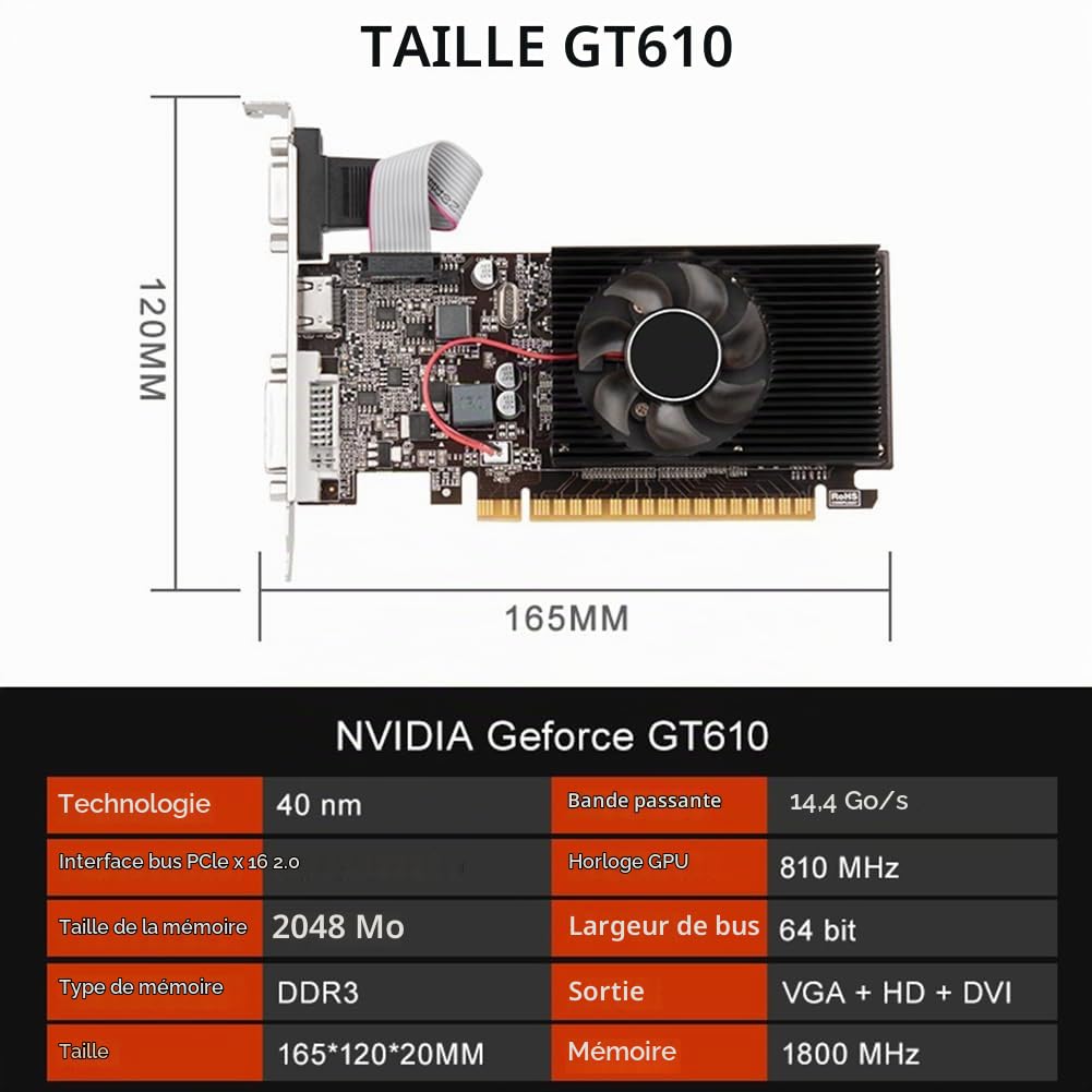 Carte Graphique GT610 PCI-E 16X Compatible +VGA+DVI Faible Bruit pour PC de Bureau