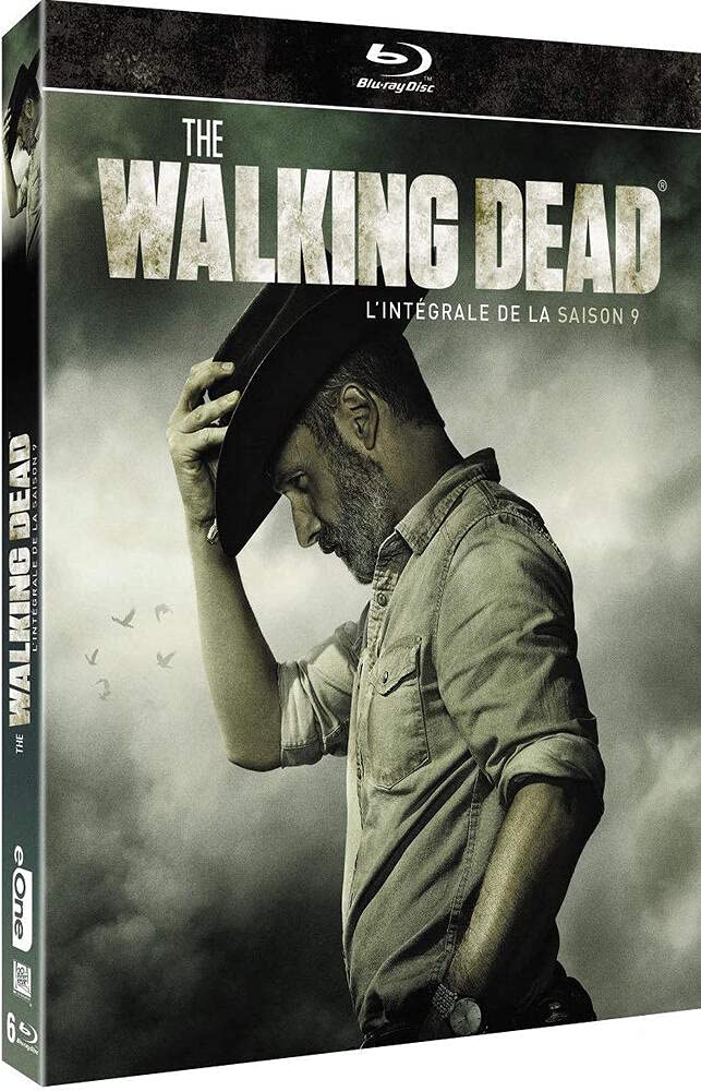 The Walking Dead - L'intégrale de la saison 9 [Blu-ray]