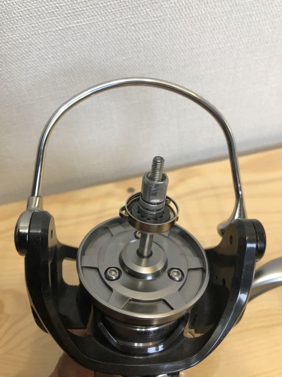 Amazon.co.jp: Daiwa 10 Saltiga 4500H SLP OH Gear Replaced : Sports