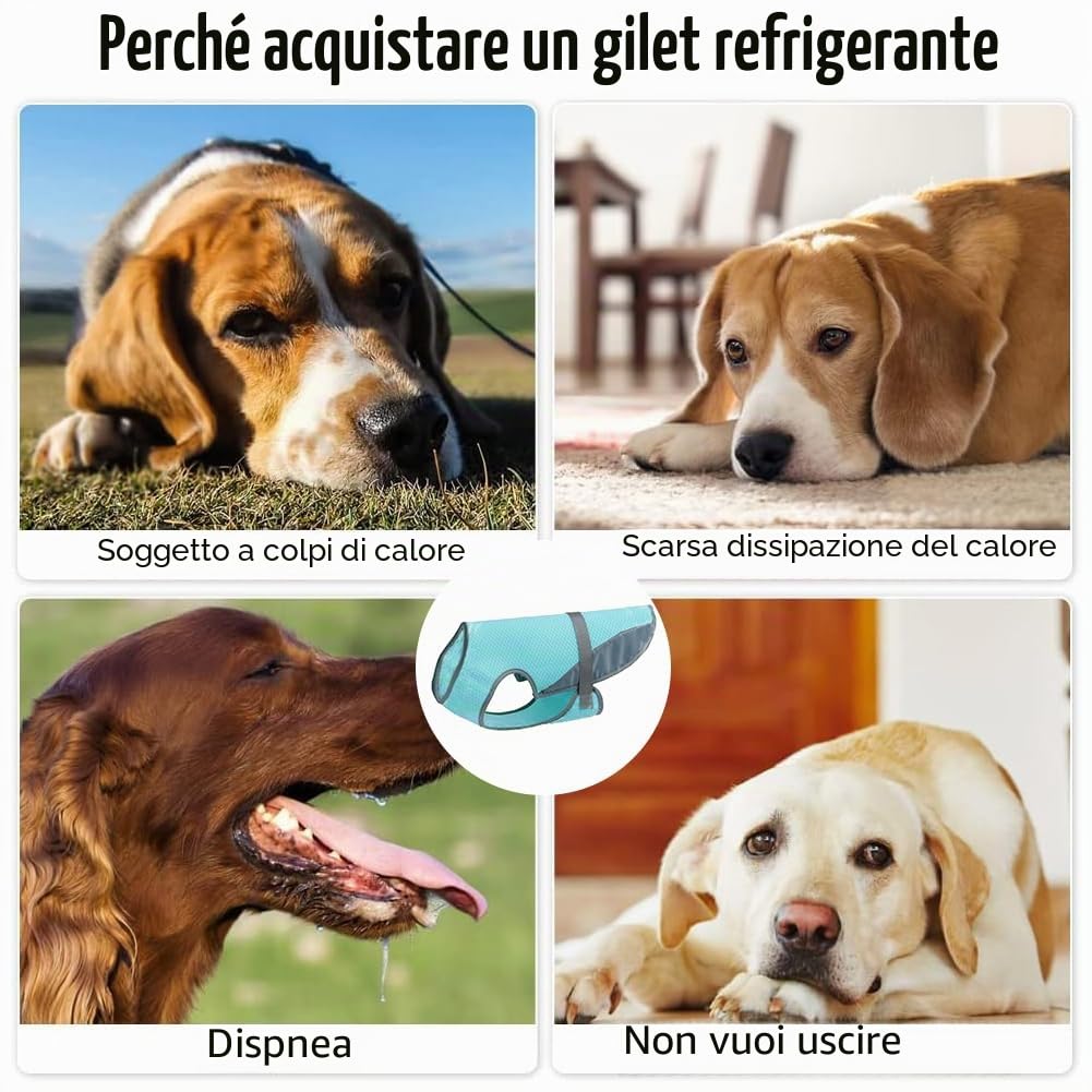 Gilet Rinfrescante per Cani,Giubbotto di Raffreddamento per Cani,Pettorina Rinfrescante Cane per Passeggiate,Protezione Solare UV Efficace Cappotto Rinfrescante Cane (L)