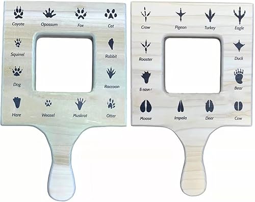 Buscador de guía de naturaleza, Buscador de hojas, Visor de nubes, Guía de identificación de nubes, Guía de pistas de animales, Guía de insectos e