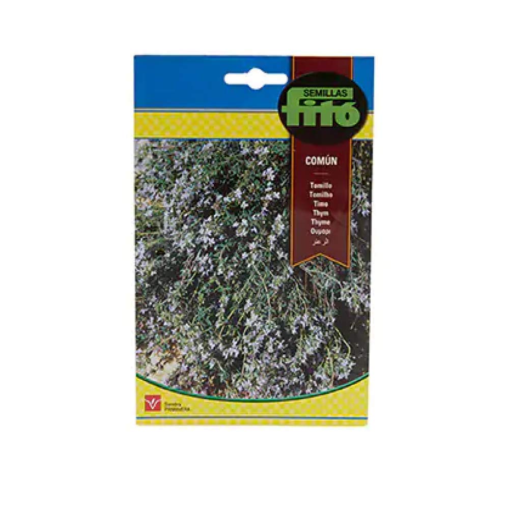 Thyme 750mg Supplement