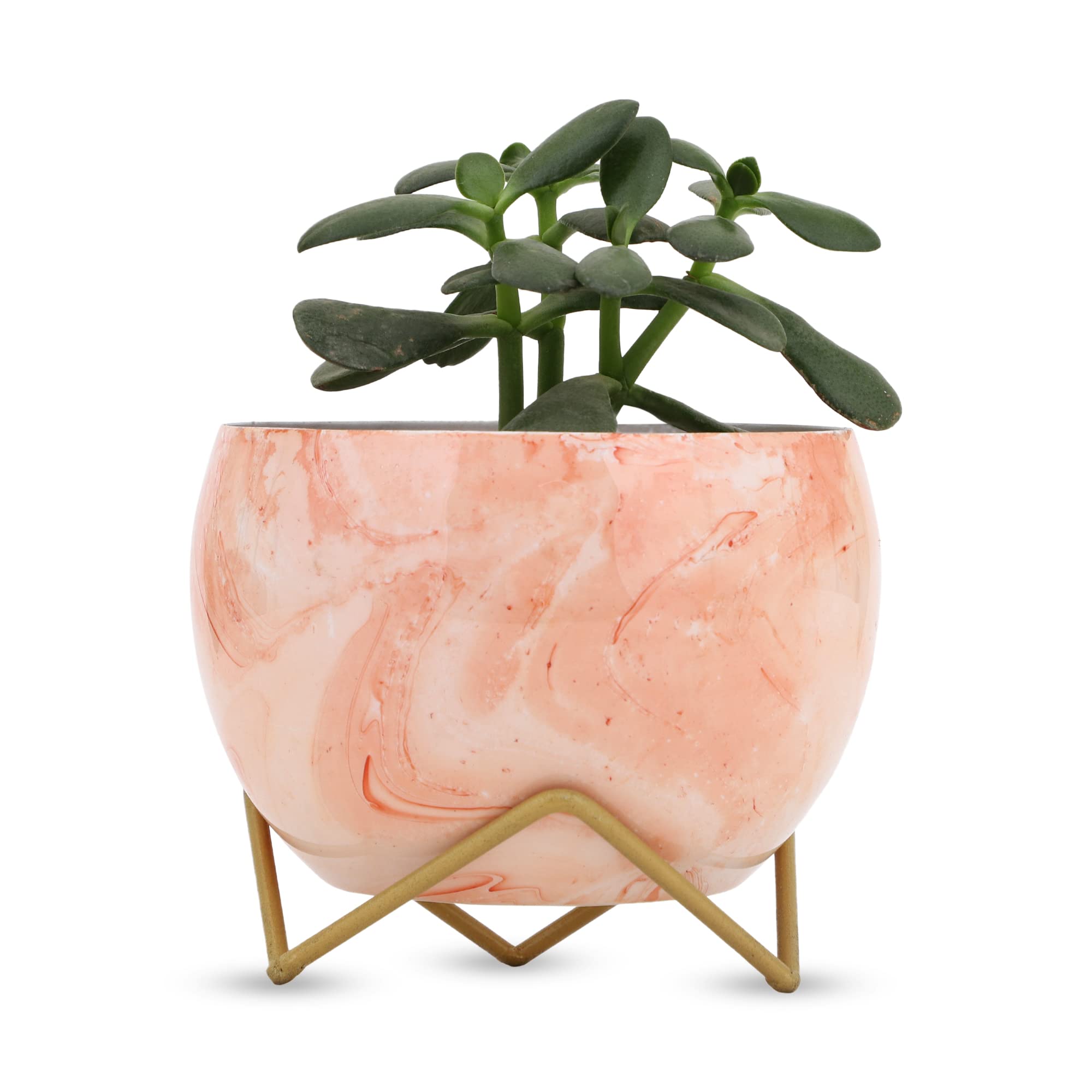 See full amazon price history chart for vudy Indoor Plants Pots | with Stand -Decorative Pots for Indoor Plants Rust Free Metal Planter for Living Room, Balcony and Garden Decor (Plants not Included) (Design2) vudy Indoor Plants Pots | with Stand -Decorative Pots for Indoor Plants Rust Free Metal Planter for Living Room, Balcony and Garden Decor (Plants not Included) (Design2) (B09F6LHC9Z) Amazon Price History, Amazon Price Tracker