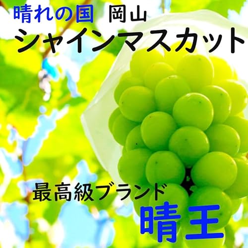 ノーブランド品 シャインマスカット 晴王 500g 2房 赤秀 岡山県産 の商品画像 2