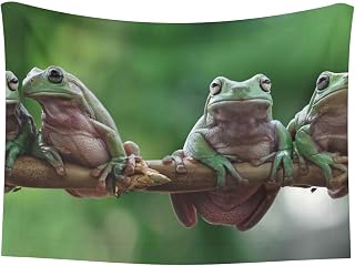 Australian White Tree Frog Sitting on Branch Print Super Soft Dog Blanket Washable Small Double-Sided Cat Blanket for Indoor Cats Large Medium Small Dog Gifts Puppy Essentials