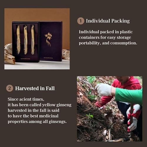 Miniatura 2 de woorido 5 años de raíz de ginseng silvestre seca coreana (3 raíces) - Panax Ginseng, alimentos saludables, fatiga de recuperación, alivia el estrés,