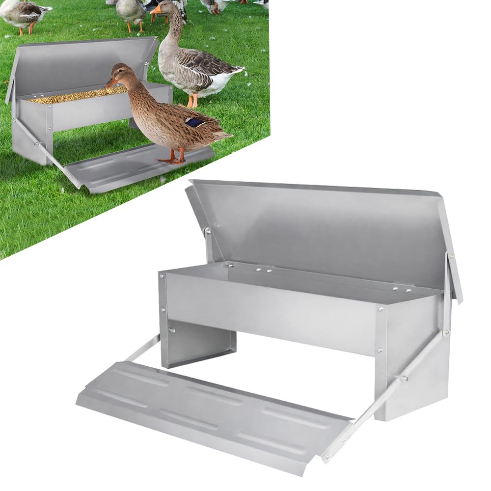 Comedero automático para pollos, 5 kg, comedero para gallinas, comedero de acero galvanizado con tapa, comedero para aves de corral
