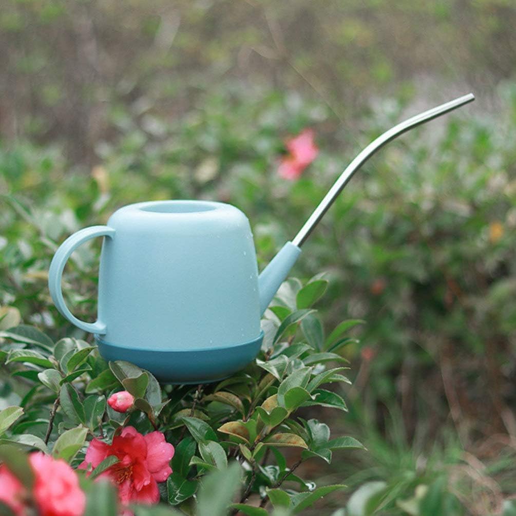 Cabilock Indoor Watering Pot 1l Small Gardening Kettle Durable Plastic Long Spout for Easy Plant Care