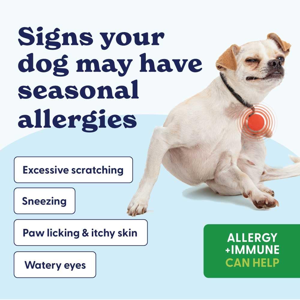 Origin Labs Allergy and Immune Support Supplement, Omega 3 Fish Oil, Bee Pollen, Colostrum, Probiotics, Prebiotics for Gut Health, Skin and Coat Health, Antioxidants, Turkey Flavor, 90 Soft Chews