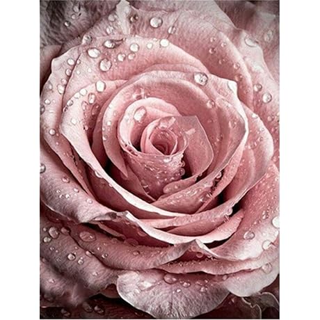 Pigpigboss Diamond Painting Kits for Adults, Pink Rose 5D Full Drill Canvas Art