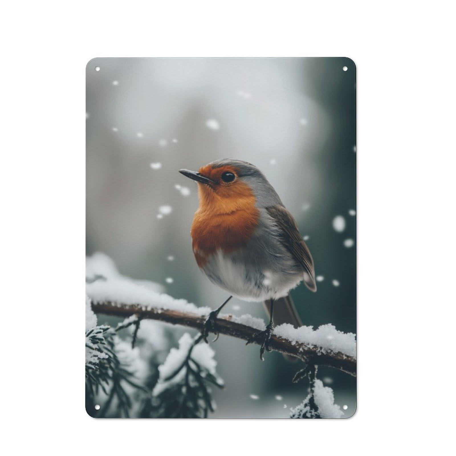 Junmoney Robin In Winter Snow Metal Plaque 40X30cm With For Garage Wall, Rustic Decor, For Vintage Wall Decor Fans, For Themed Room Decoration