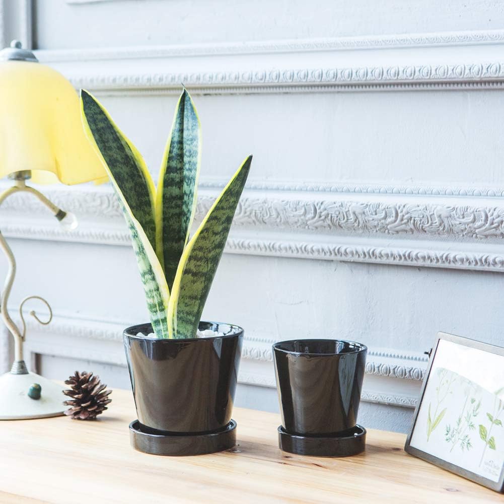 BUYMAX Succulent Planter Pots –3”+4 +5” Ceramic Flower Pot with Drainage Holes and Ceramic Tray - for All House Plants, Flowers and Succulent, Set of 3 (Black)