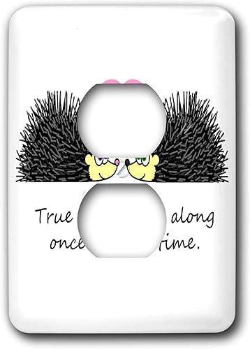 3dRose LLC LSP _ _ _ _ _ _ _ _ _ _ 6307 _ _ _ _ _ _ _ _ _ _ 6 True Love Comes Along una vez en una clavija Lifetime Cute Hedgehog Love diseño 2