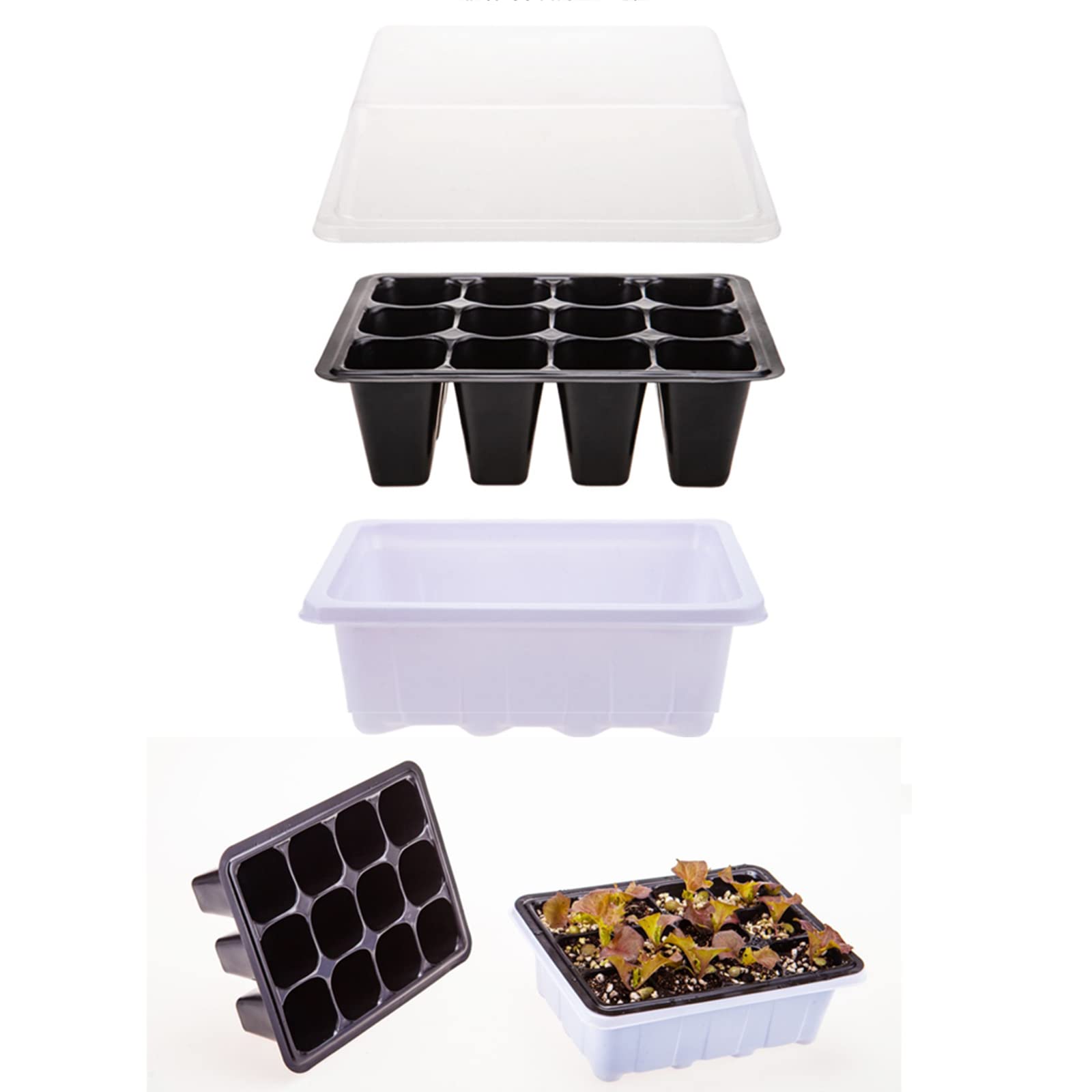 6 Pièces Bac à semis, Mini Serre pour Plantes Intérieure Plateau de Germination à 12 cellules Pépinière Boîte Propagateur avec Couvercle pour Jardin Croissance Semence