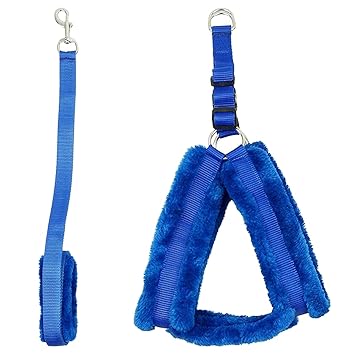 Nylon Dog Harness and Leash for Dogs & Puppies with Fur Nylon Set for Adult Small Dogs, Minimum & Maximum Neck Round Size -16 inch - 20 inch (0.75 inch-Small, Blue)