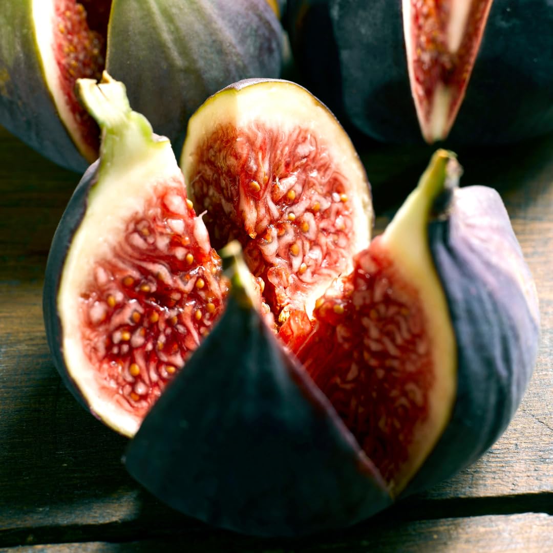 Fico Reale In Vaso 26 Cm - Pianta Da Frutto Antica, Alto Fino A 200 Cm, 4 Anni - Foto 6