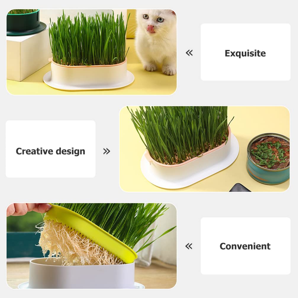 Ipetboom 3er-Set Sprout Tray – Katzengras-Anzuchtbox Ohne Erde Mit Deckel, Ideal Für Hydrokultur & Keimsaat