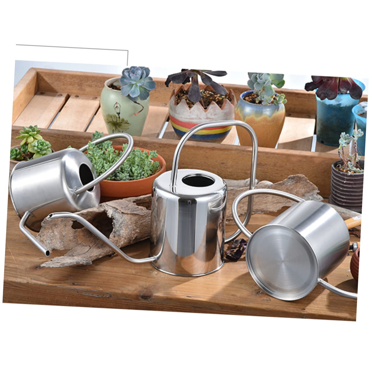 Arrosoir Rétro en Acier Inoxydable 1, 3 L à Long Bec pour Succulentes