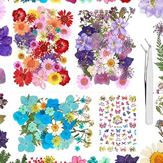Real Dried Pressed Flowers for Resin - 188 PCS Natural Dried Flowers Mixed Pressed Daisies Dry Flower Resin Art Butterfly Nail Stickers