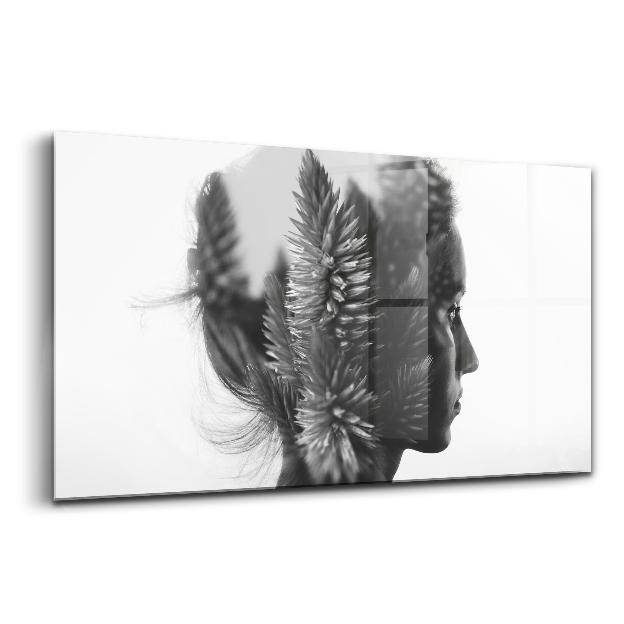 Peinture murale en verre Wallfluent 100x50cm pour décoration d'intérieur
