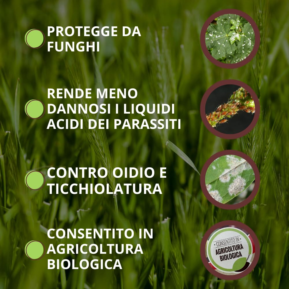 VITHAL Fungicida Per Piante in Polvere - a base di Idrogeno Carbonato di Sodio, Protezione Naturale per Piante Ornamentali ed Edibili, Efficace Contro Oidio e Ticchiolatura, 350g