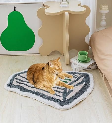 Miniatura 2 de Alfombra de billetes de 100 dólares para decoración del hogar, bonita alfombra de baño, alfombra de entrada lavable para dormitorio, baño, cocina,