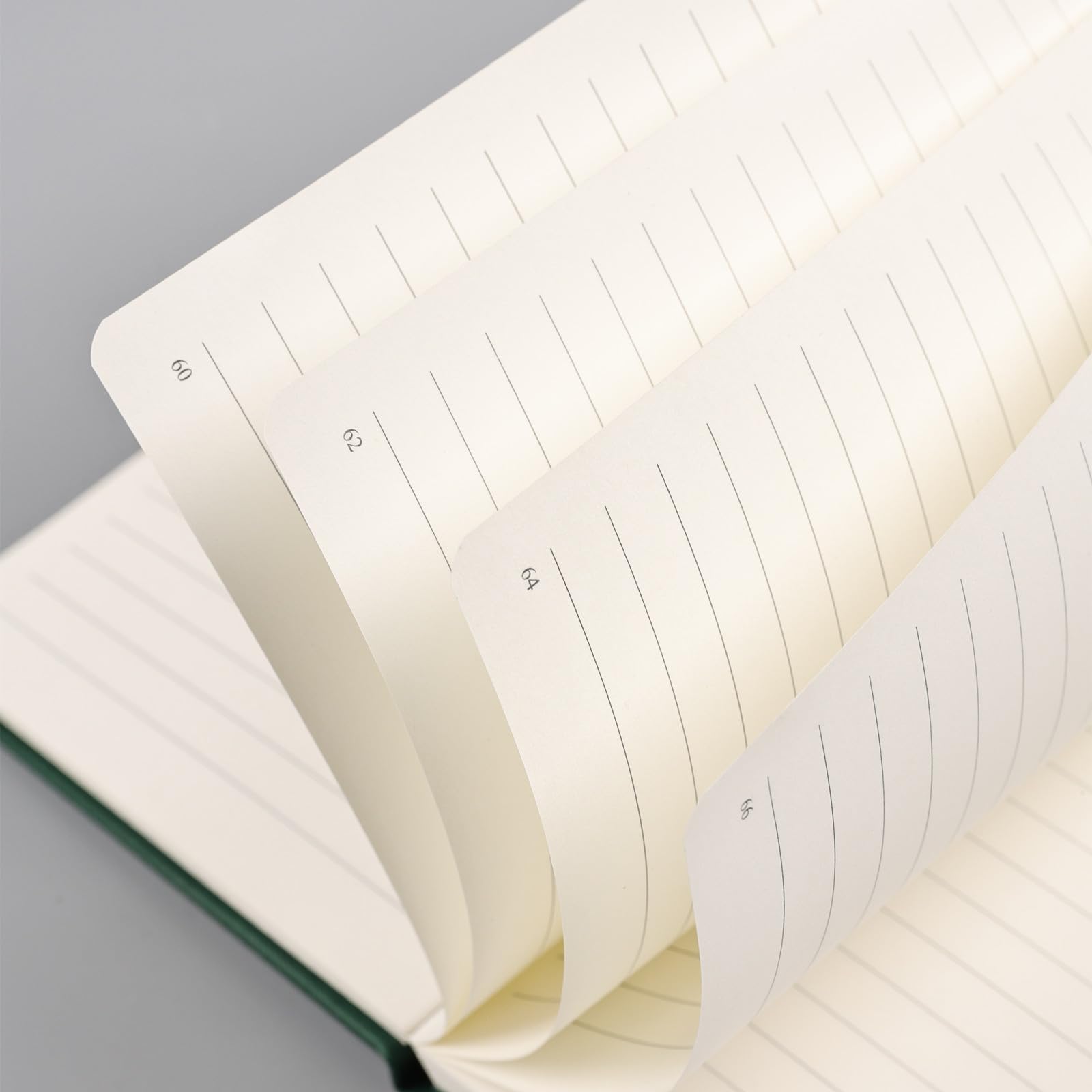 Taccuino a righe formato A5, 192 pagine numerate, con copertina rigida, 100 g/m², carta senza sbavature, copertina rigida con segnalibri, portapenne, tasca interna (verde)