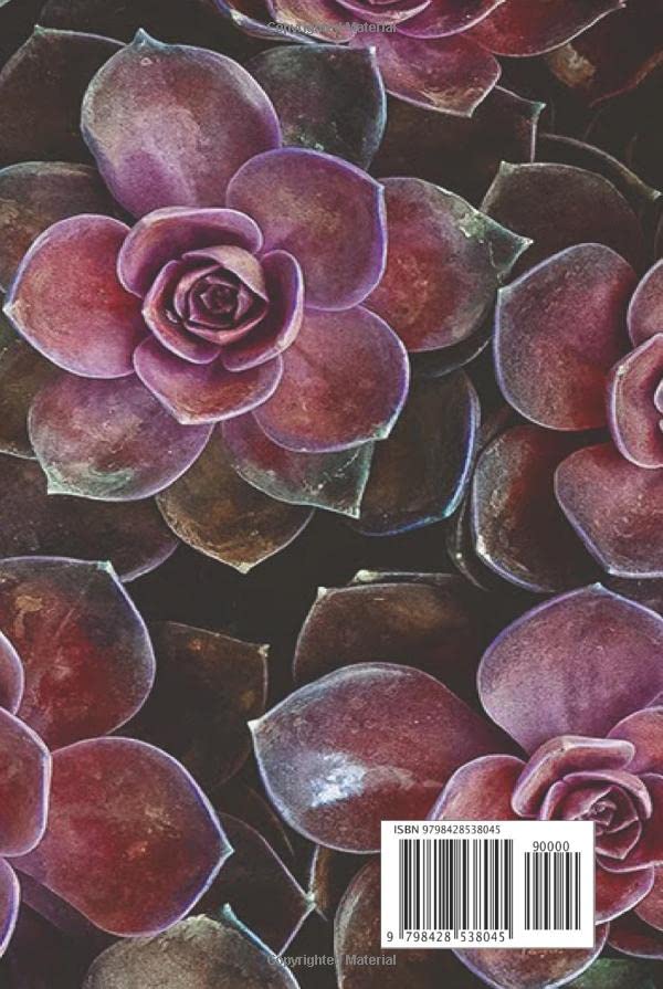 Carnet de composition succulentes roses contre la page blanche, journal intime rigide zen