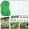 Secwell Klimnet Planten 5 x 1,8 m Tuinnet voor Klimplanten Klimhulp voor Tuin met Plantklemmen en Binddraad