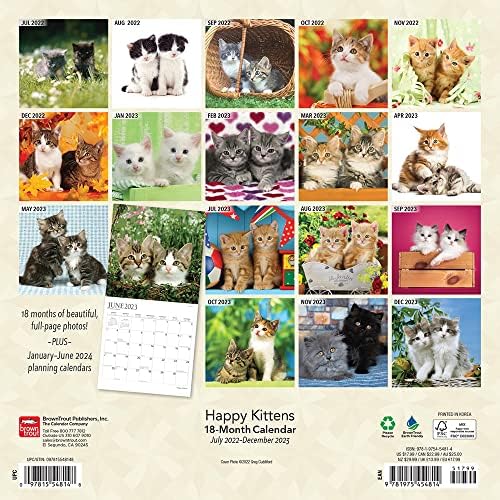 Happy Kittens | 2023 12 x 24 Inch 18 Months Monthly Square Wall Calendar | Foil Stamped Cover | July 2022 - December 2023 | BrownTrout | Animals Cats Feline