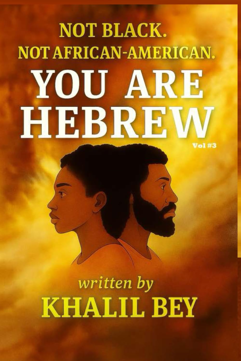 NOT BLACK. NOT AFRICAN-AMERICAN. YOU ARE HEBREW!: The Age of Wisdom & The Universal Covenant: 3