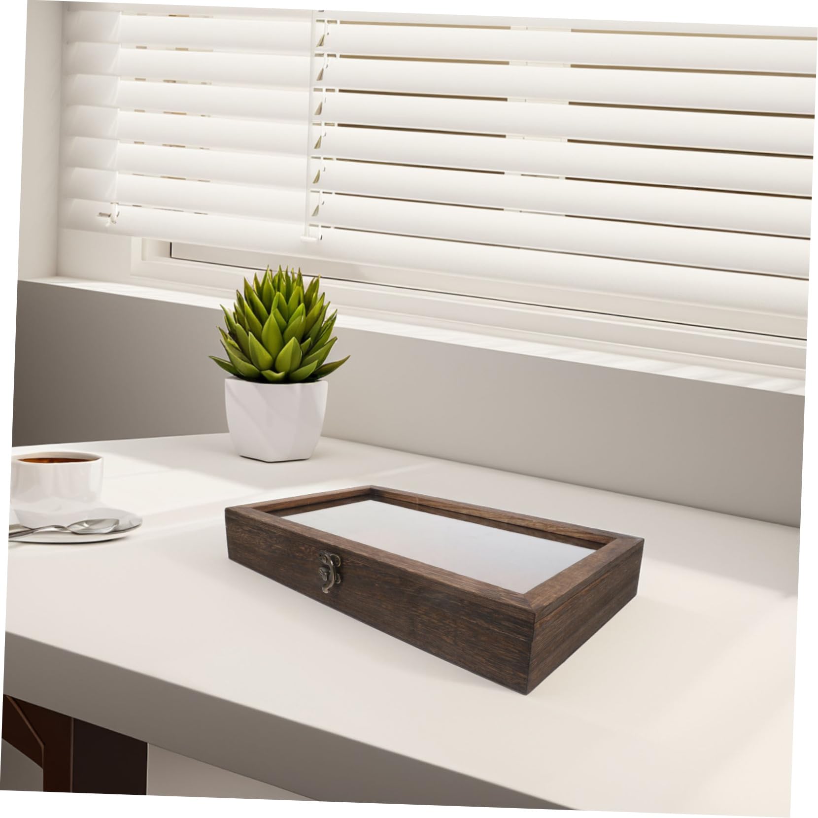Gatuida Caja de Madera para Insectos con Tapa Abatible para Preservación Conveniente y Uso Versátil en Colecciones Personales y Escuelas de Mariposas