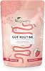 Vegavero Gut Routine – Ballaststoff Komplex & Probiotika Pulver 300g mit 12 Mrd. Kulturen Glutamin & B-Vitaminen – Darmflora Verdauung & Stoffwechsel – Vegan glutenfrei mit Erdbeergeschmack