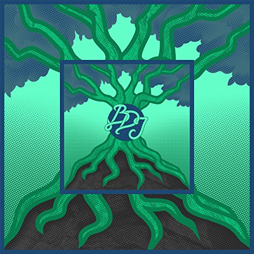 Play Album Art by Bird Dog Jubilee on Amazon Music