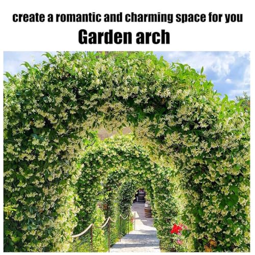 Arche de jardin rigide en métal vert de grande dimension