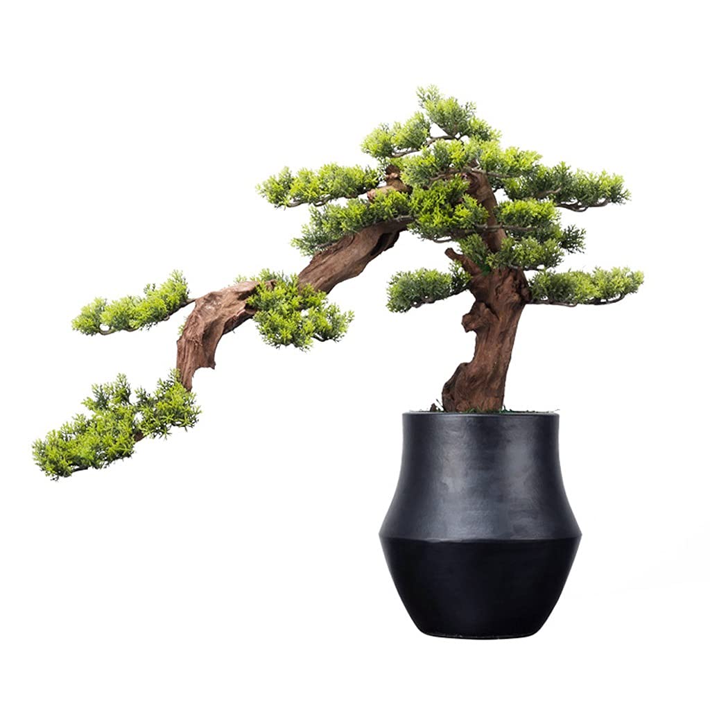 Plantes artificielles bonsaï pin de bienvenue 24 pouces pour salon