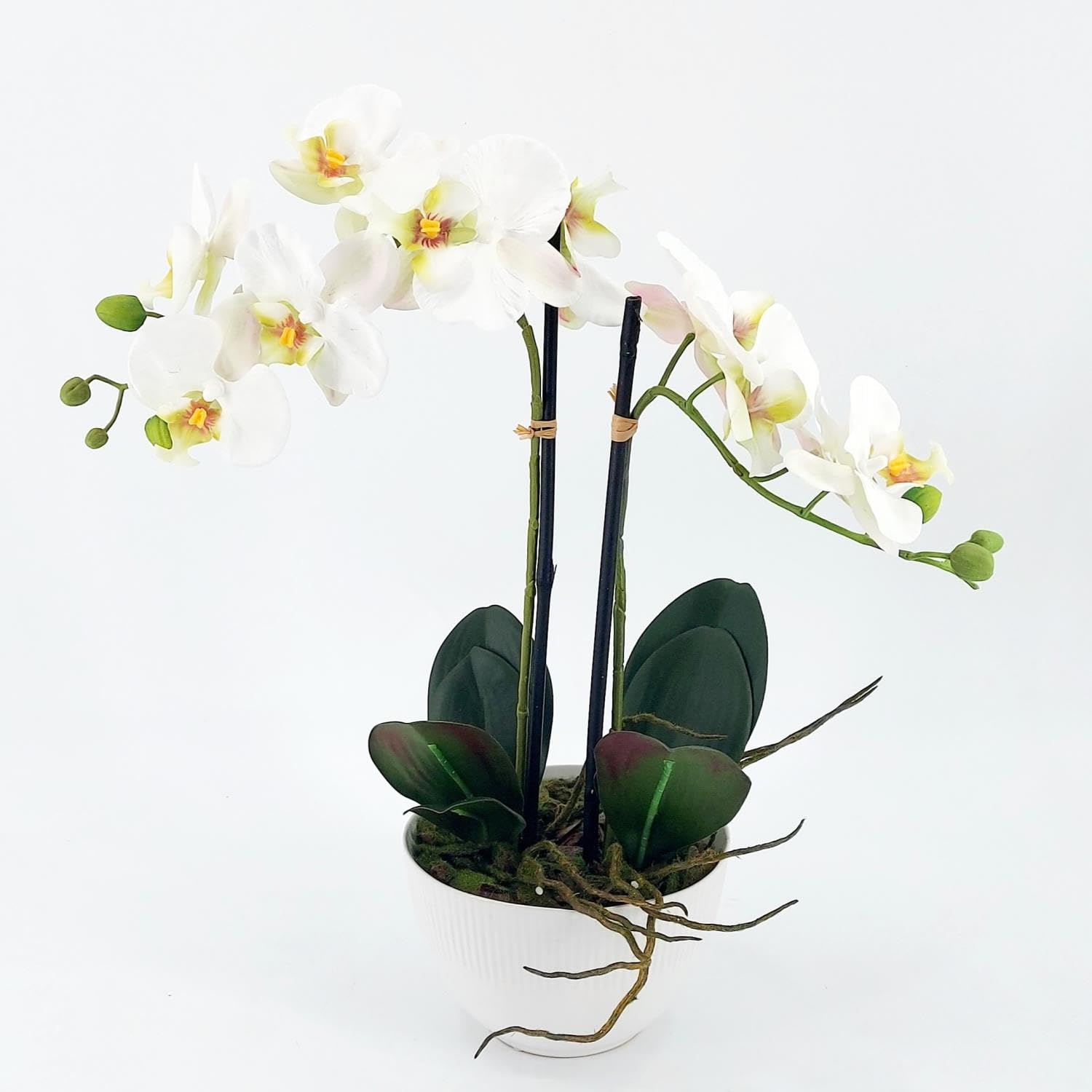 DPI künstliche Orchidee REAL Touch weiß in Keramiktopf H. 48cm Kunstblumen