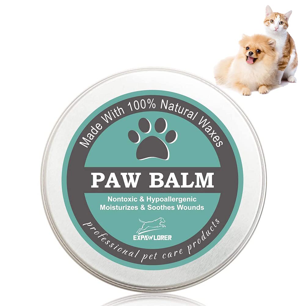 What Can You Use To Moisturize Dogs Paws
