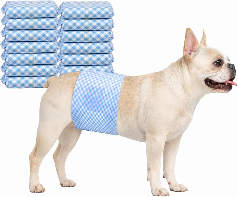 Fraldas descartáveis para cães machos Pappiora com indicador de umidade, cintura de 40,64–53,34 cm, tamanho L, pacote com 10