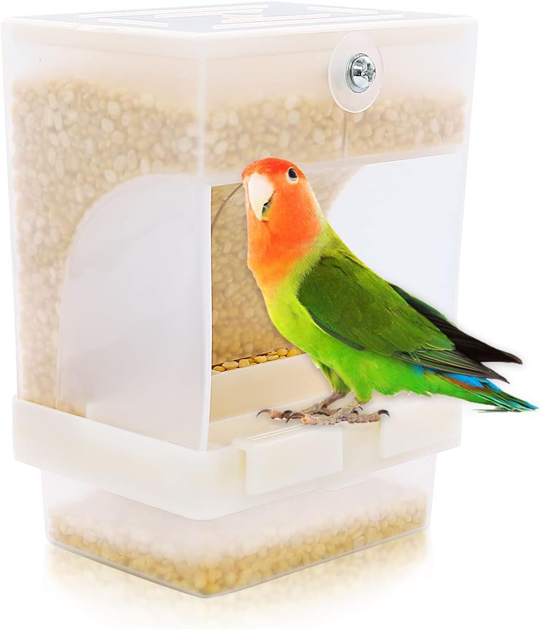 Bird Automatic Plastic Feeder with Waste Try Suitable for Finches, Budgies, African Love Birds, Cockatiel (300 ML, White) (B0C73XNBC8) Amazon Price History, Amazon Price Tracker
