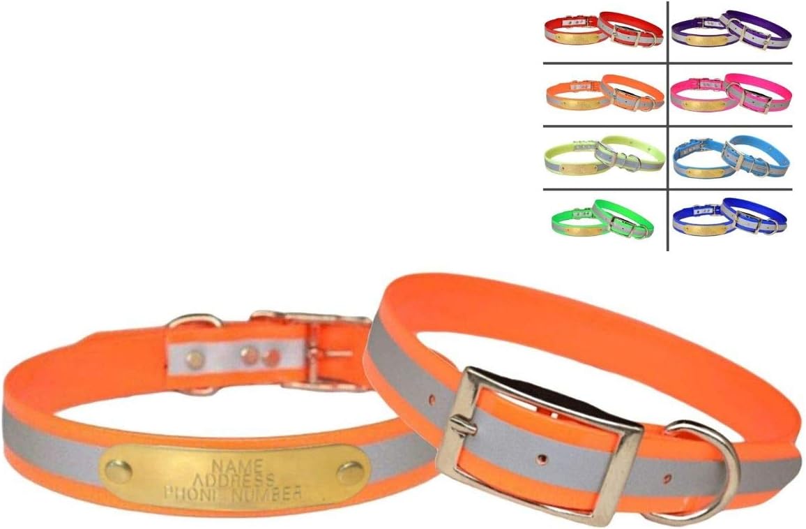 Warner Sporting Reflective DayGlo Orange Dog Collar 21" w/ Free Engraved Brass ID Tag - Made in USA for Medium-Large Dogs
