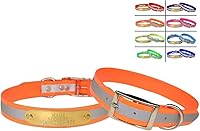 Warner Sporting Reflective DayGlo Orange Dog Collar 21" w/ Free Engraved Brass ID Tag - Made in USA for Medium-Large Dogs