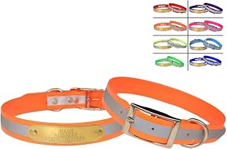 Warner Sporting Reflective DayGlo Orange Dog Collar 21" w/ Free Engraved Brass ID Tag - Made in USA for Medium-Large Dogs