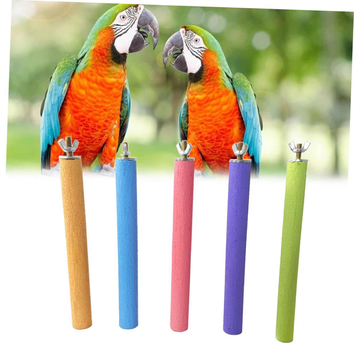HANABASS 10pièces De Meulage pour Oiseaux Naturel Jouet à Grincer pour Perchoir De Perruches Accessoire De Cage pour Oiseaux Aléatoires